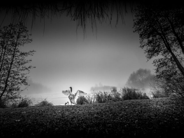 DROUVIN-Photo CREATIF12