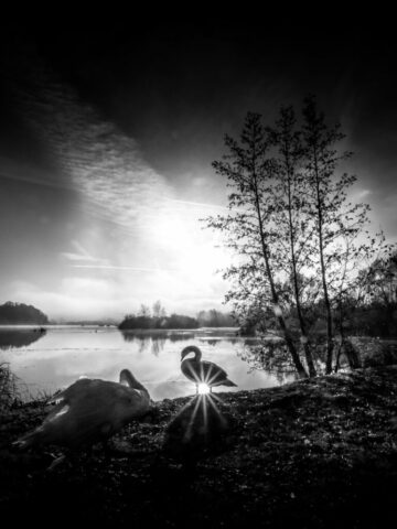 DROUVIN-Photo CREATIF13