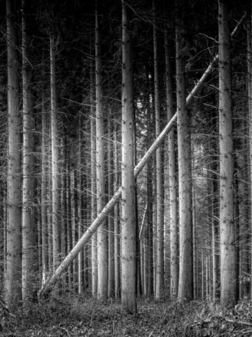DROUVIN-Photo CREATIF14