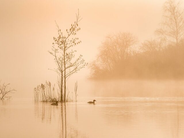DROUVIN-Photo CREATIF15
