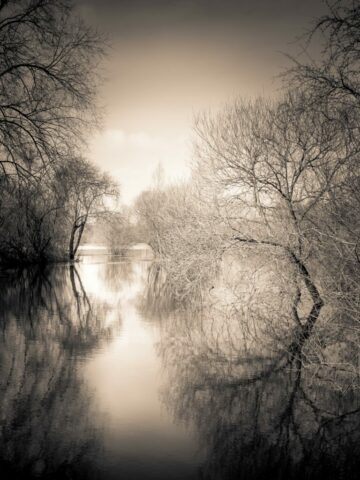 DROUVIN-Photo CREATIF16