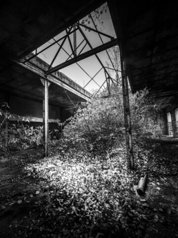 DROUVIN-Photo CREATIF19