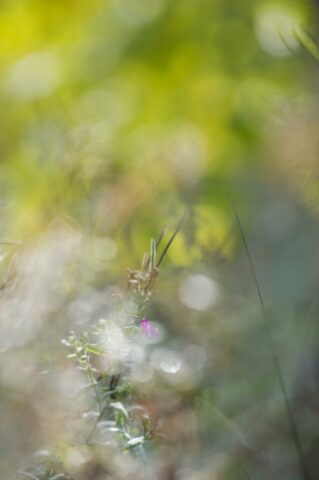 DROUVIN-Photo CREATIF20