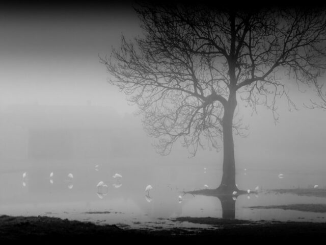 DROUVIN-Photo CREATIF23
