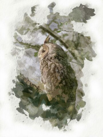 DROUVIN-Photo CREATIF24