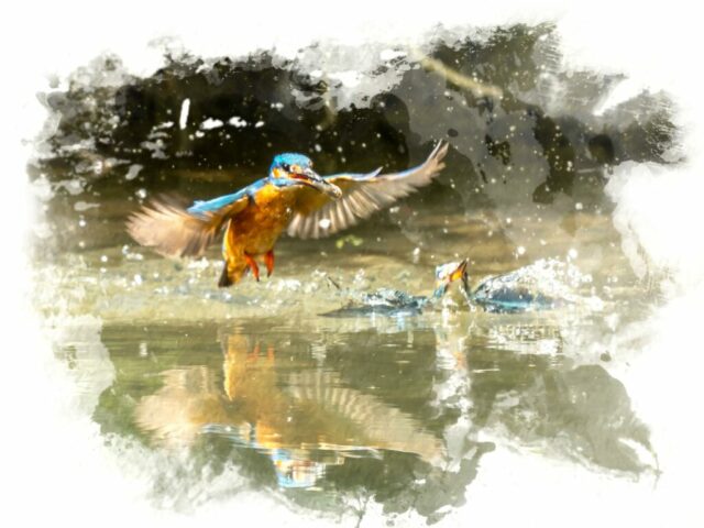 DROUVIN-Photo CREATIF25