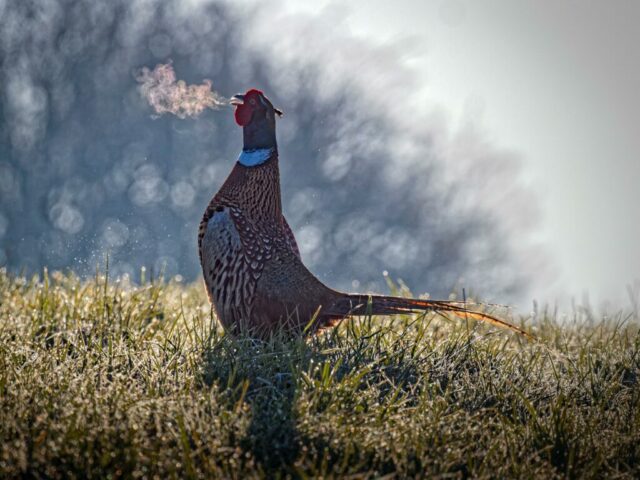 DROUVIN-Photo CREATIF42