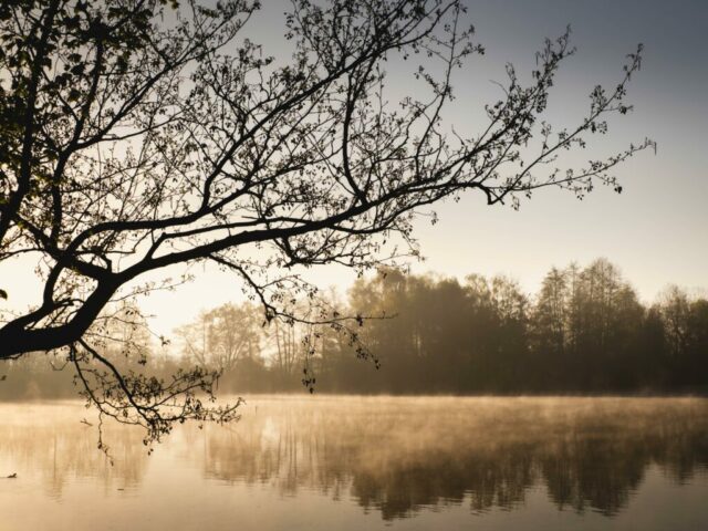 DROUVIN-Photo CREATIF43