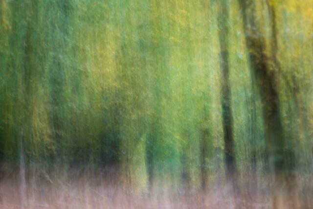 DROUVIN-Photo CREATIF44