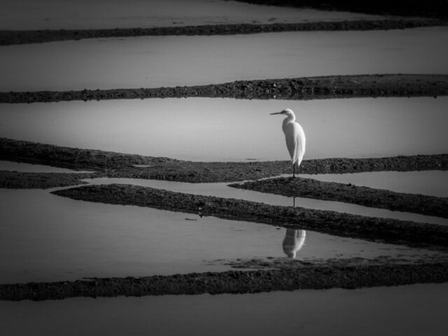 DROUVIN-Photo CREATIF49