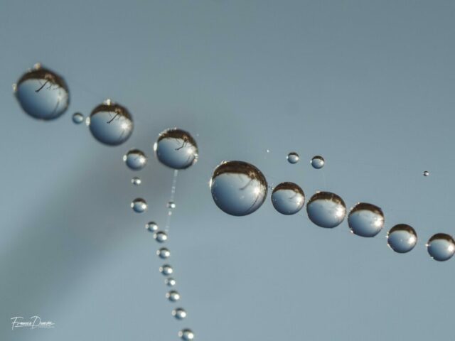 DROUVIN-Photo CREATIF7