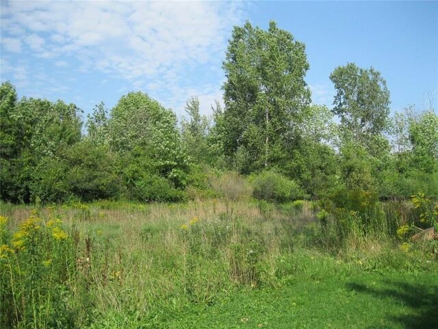 DROUVIN-Photo ECOSYSTEMES12