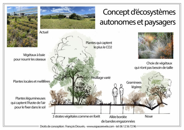 DROUVIN-Photo ECOSYSTEMES4
