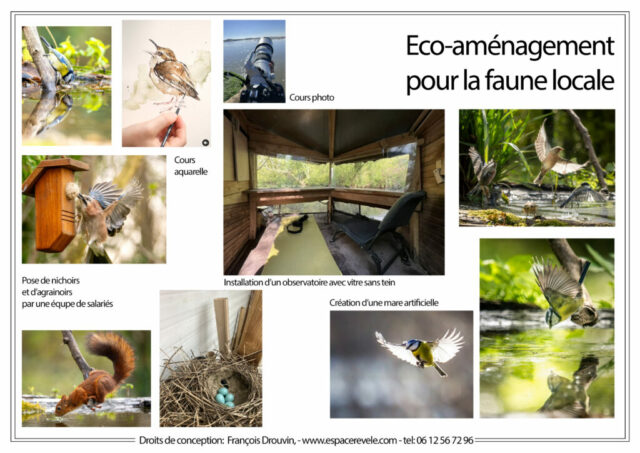 DROUVIN-Photo ECOSYSTEMES5