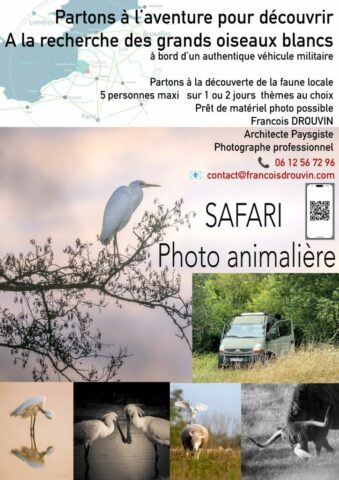 DROUVIN-Photo JOURNEES PHOTO13