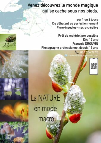 DROUVIN-Photo JOURNEES PHOTO15