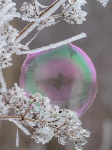 DROUVIN-Photo JOURNEES PHOTO5